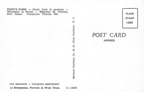 Postal de comestibles frescos de Clinton NJ Tony's Farm - Imagen 2 de 2