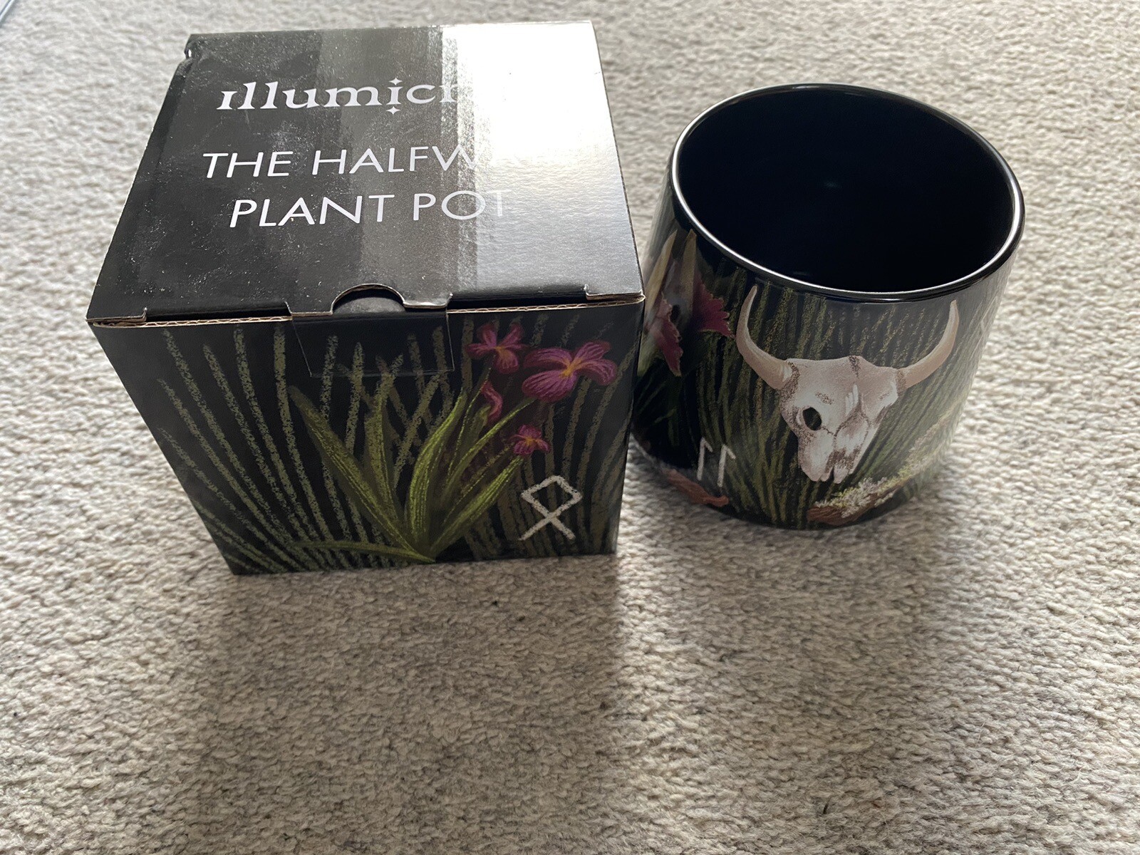 Bookish Box Illumicrate Fairyloot Owlcrate ACOTOR Jade City Bookends