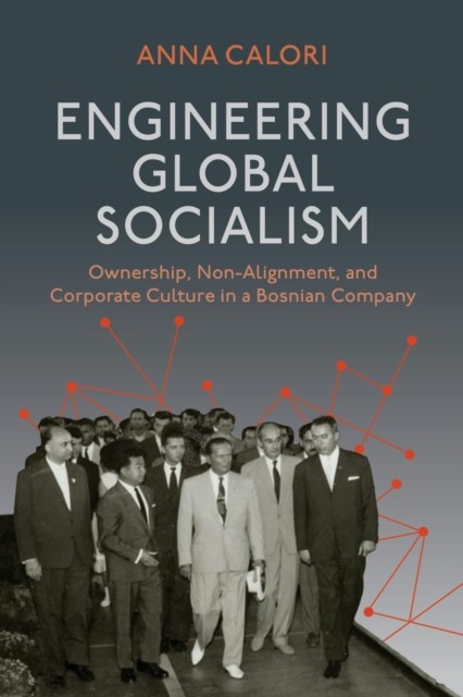 The Socialist Global Promise  NonAlignment and by Anna Calori PAPERBACK