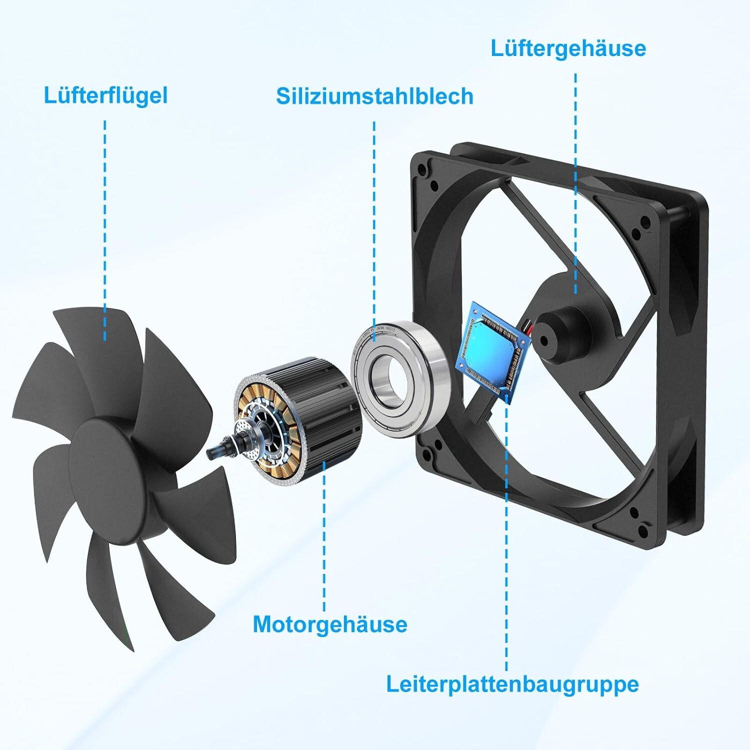 Bild 7 von 12