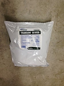 methyl transom generic fungicide wsb systemic 4x8 cleary lb oz
