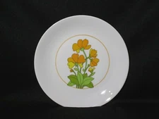 Thomas Rosenthal Summer Salad Plate Made in Germany
