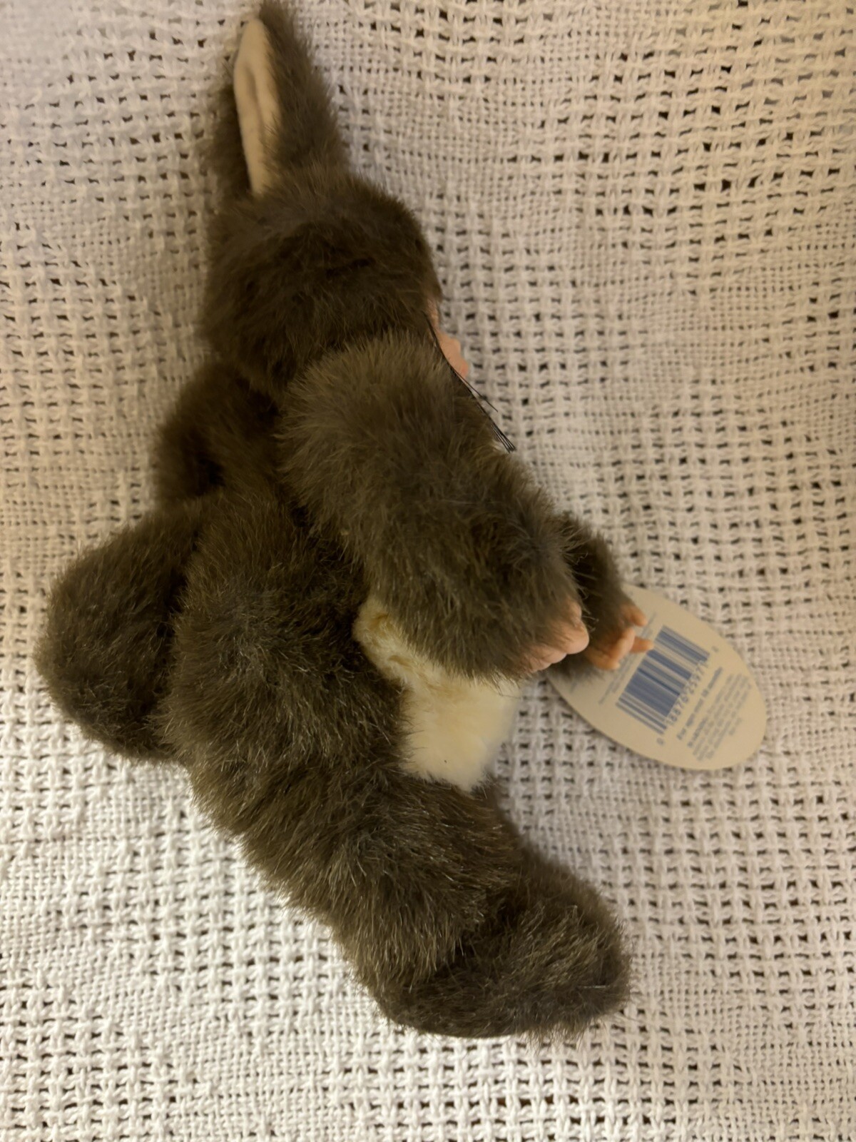 Foto 4 di 5