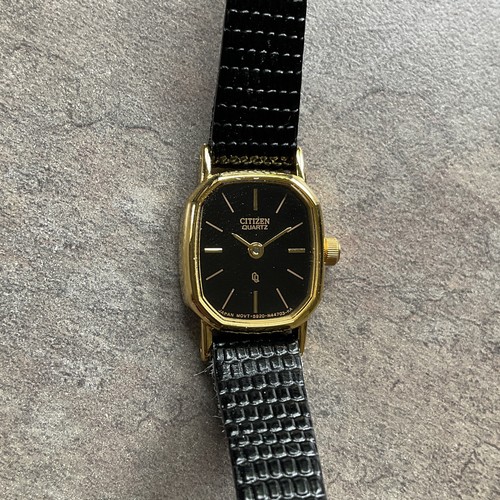 Citizen 5920-S49810 Gold Tone Case 