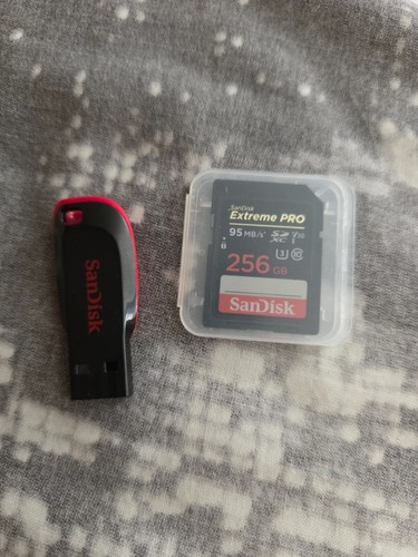 Original, genuine Sandisk SD card 256GB capacity