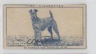 1949 Turf Famous Dog Breeds Tobacco Irish Terrier #42 0f3
