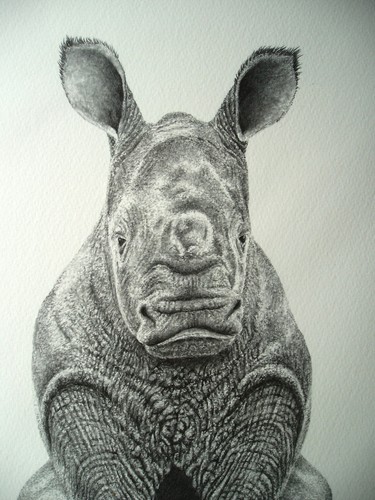 Peter Hildick - Sitting This One Out - Baby Rhino - Mtd Print Ltd Edit No 15/495 - Picture 10 of 10
