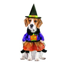 Halloween Witch Dog Pet Costume, Size Large 20" Back Length, NEW