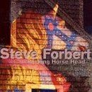 Rocking Horse Head von Steve Forbert | CD | Zustand sehr gut