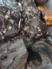 Nevada California Obsidian Variety Lot 19 LB Snowflake Rainbow Mahogany Rough — photo 5