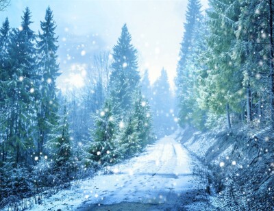 Winter Snowscape Backdrop 10x8 Vinyl Snowy Forest Remote Mountain Frosty Pine Trees Mountain Road Photography Background Winter Scenic Backdrop Kid Baby Shoot Poster Indoor Decors Wallpeper Winter Snowscape Backdrop 10x8 Vinyl Snowy Forest Remote Mountain Frosty Pine Trees Mountain Road Photography Background Winter Scenic Backdrop Kid Baby Shoot Poster Indoor Decors Wallpeper