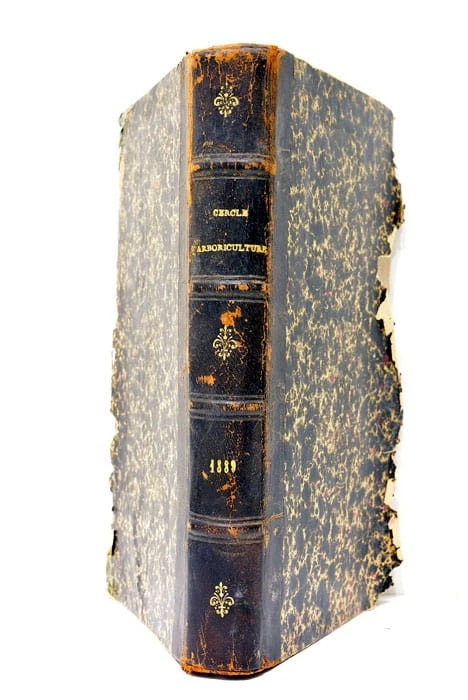 Bulletins d'arboriculture de floriculture et de culture potagère Gand 1889 - Photo 2/4