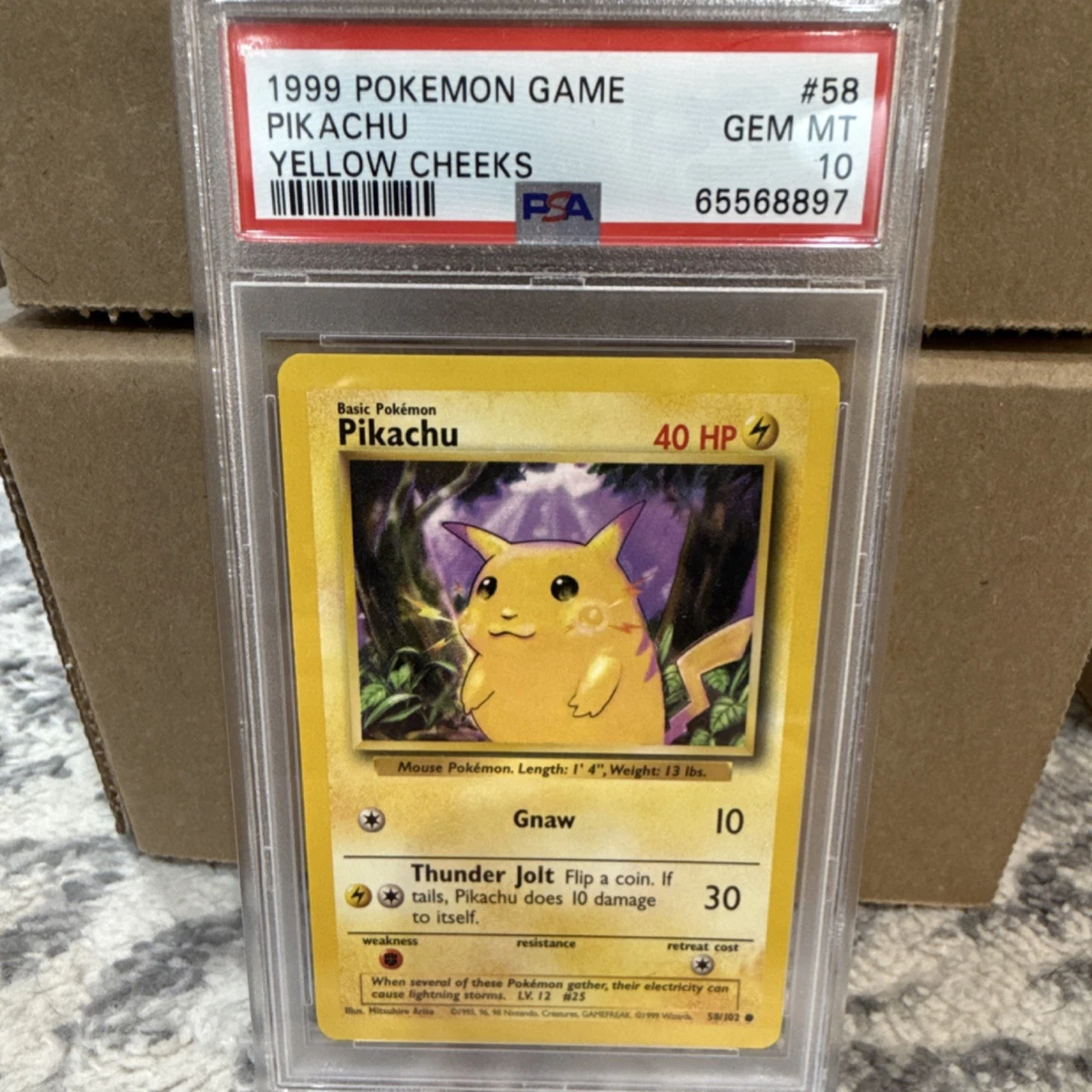 Pikachu Pokémon TCG Professional Sports Authenticator (PSA