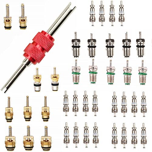 56 Pcs Air Conditioning Valve Core Kit, R12 R134A AC System core+Tool