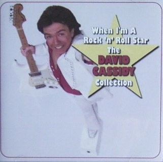 When Im a Rock N Roll Star - Cassidy David