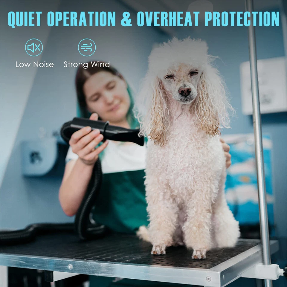 Secador de pelo para mascotas 5,2 HP/3800 W calentador soplador de aseo para perros gatos y 4 boquillas Foto 4 de 4