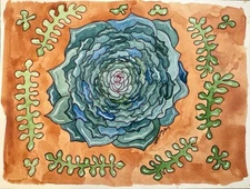echeveria succ watercolor modern folk outsider original painting art