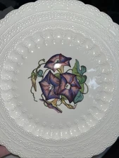Spode Bermuda Flowers "MORNING GLORY” 9” Luncheon Plate EXC CONDITION England