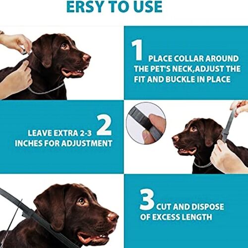 Cat Dog Flea And Tick Collar Adjustable 38/70CM 8 Months Protection Retractable - Picture 11 of 45