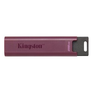 Kingston DataTraveler Max 256GB USB-A-Stick (DTMAXA/256GB)