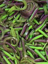 6" CURLTAIL GRUB, Trailer, Grub Fluke, Stripers,Bass,Mardi Gras 100
