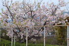 Picture 11 of 12