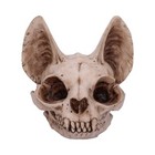 Nemesis Now Bastet's Secret Cat Skull Figurine Ornament, Natural Bone Colour, On