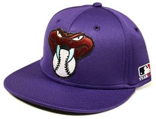Arizona Diamondbacks MLB OC Sports Q3 Snake Throwback Rare Purple Hat Cap Men's