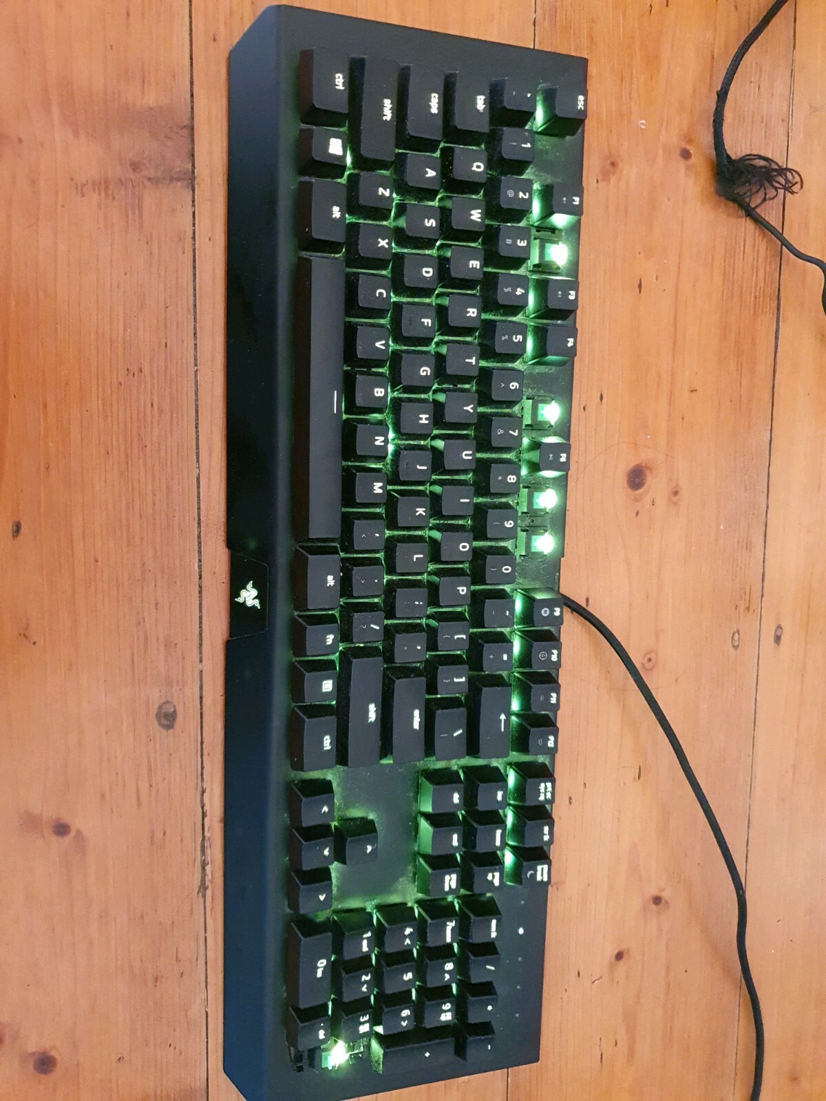 Picture 5 of 5