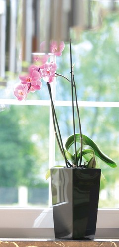 Blumenkübel Blumentöpf inkl Einsatz Viele Grosse !! NEU !! - Bild 3 von 4