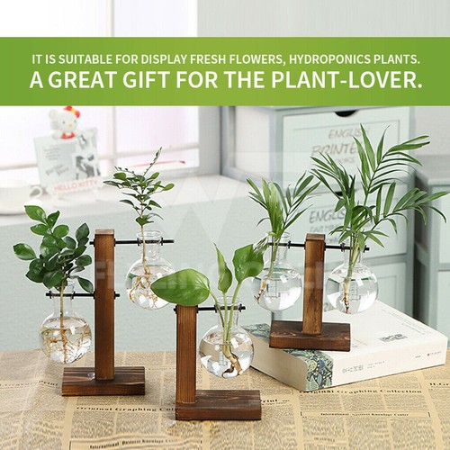 DelSol Wooden Stand Hanging Glass Vase Hydroponics Pot Home Decor Desktop - Picture 2 of 16