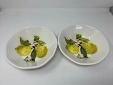 Two Effetti Pasta Bowls Lemon Tree Design MADE IN ITALY Butterfly Ladybug