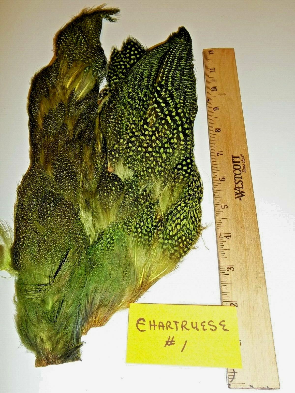 Picture 20 of 65