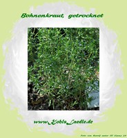Bohnenkraut, Gerebelt, Getrocknet - 100G.