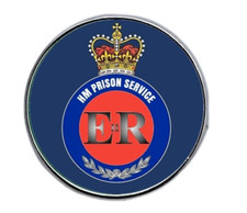 HM Prison Service Queens Crown Military Lapel pin Badge 25mm dome