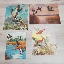 Bird Lithographs Vintage Frameable 4 Litho Ducks Mallards Cernia Watson Hunt 