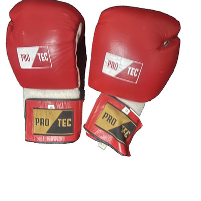 Pro Tech Red 16oz Boxhandschuhe MMA