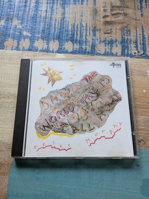 Peter Murphy - Should the World Fail to Fall Apart | CD | Zustand gut