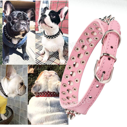 Dog Collar Leather Studded Black Brown Small Medium Large Breeds Pet Melbourne - Picture 6 of 16