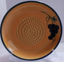 Clayton Tableware Garlic/Ginger Grater Malaysia Made Product Of France