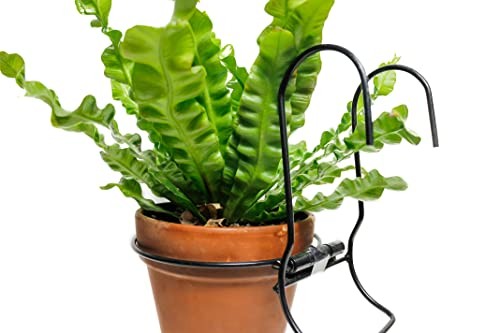 6 Pieces, 8 inches Iron hanging Flower Pot. Metal Plant Wall Hanger, Vertical - Picture 3 of 6