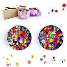 600PCs Miniature Dried Flowers, Hand-Picked Natural Brazilian Daisies, Mixed ...