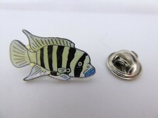 Pin's Pins Pin Badge POISSON / FISH / TOP !