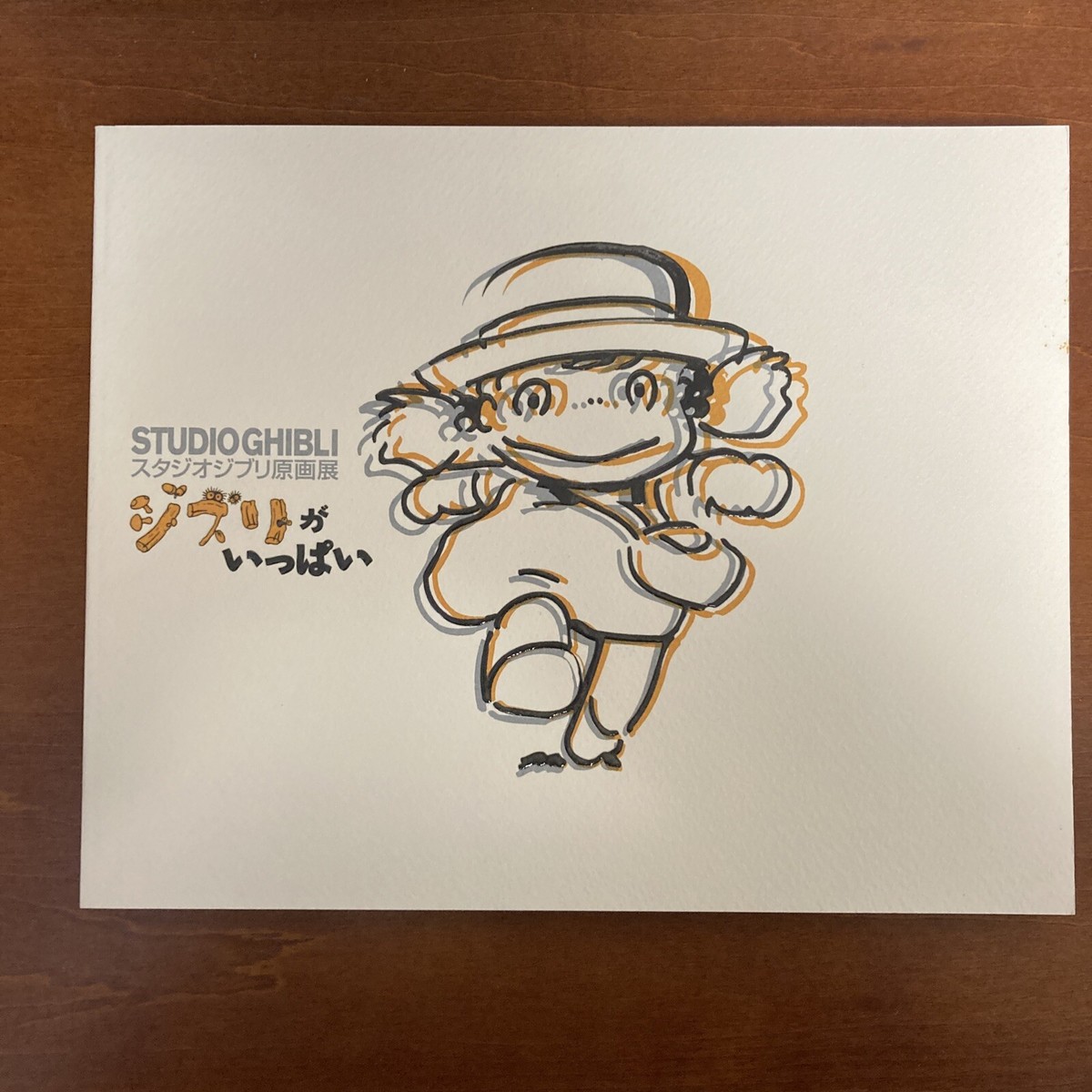 Studio Ghibli Original Art Exhibition Lots of Ghibli Art Book