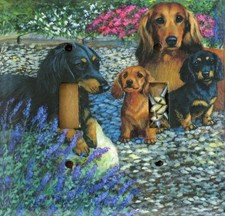 Dachshund Art Printed on a Double Toggle light switch plate, made in USA