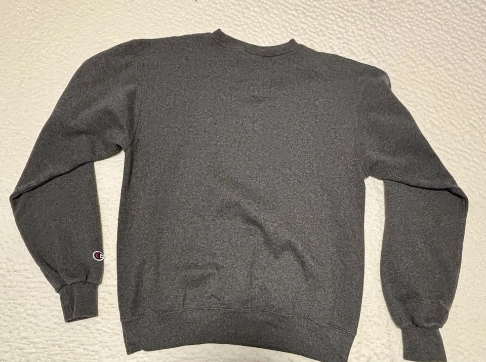 Nueva NYU New York University Champion Sudadera con Capucha Pequeña Nueva York Gris Manhattan Foto 4 de 4