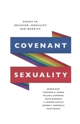 Covenant Sexuality: Essays on Religion, Sexuality, and Identity: Essays on (Pape