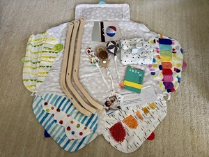 Lovevery: The Play Gym-Stage-Based Developmental Activity Gym & Play Mat