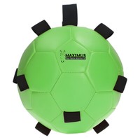 Maximus Fun Play Ball GrüN FüR Pferde Ø 19 Cm Mit Schlaufe & Pumpe