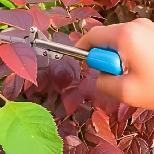 Superscharfe Gartenschere für Gartenarbeit Edelstahl Gartenschere Werkzeug - Bild 5 von 7
